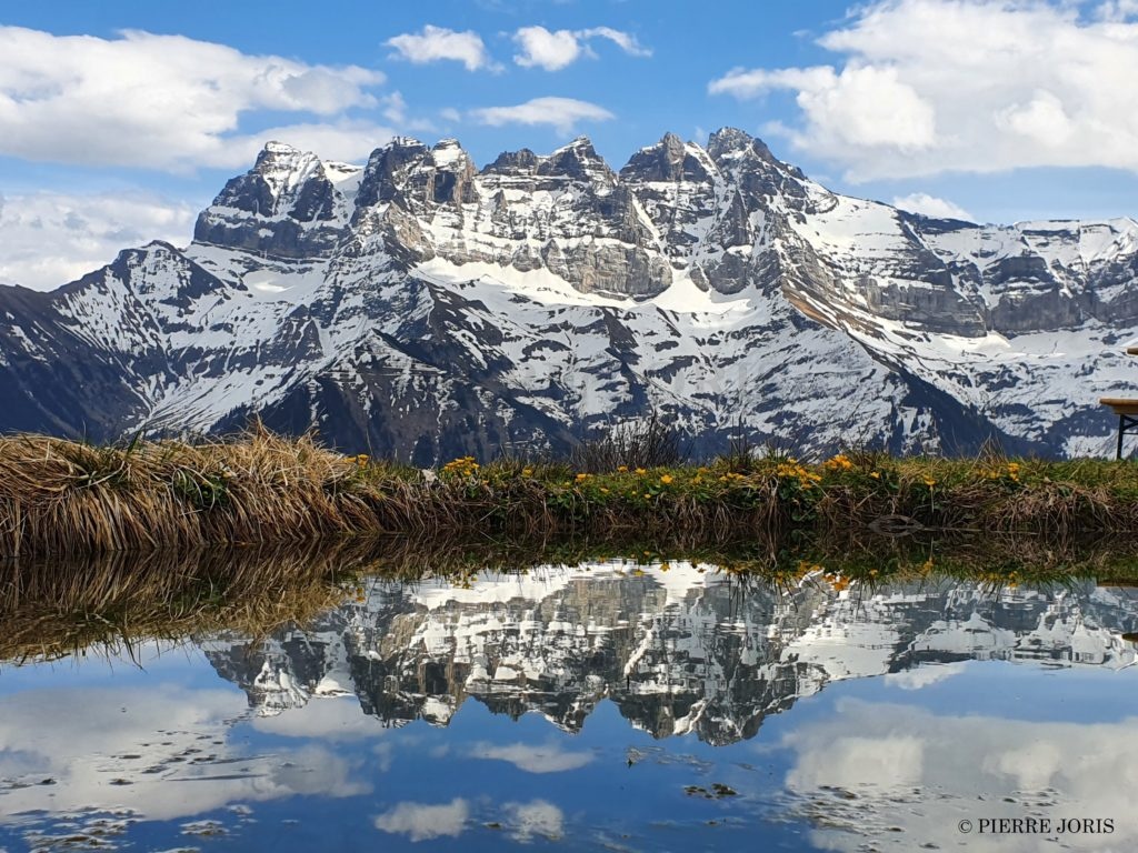 Dents du Midi depuis d’autres gouilles (1)
