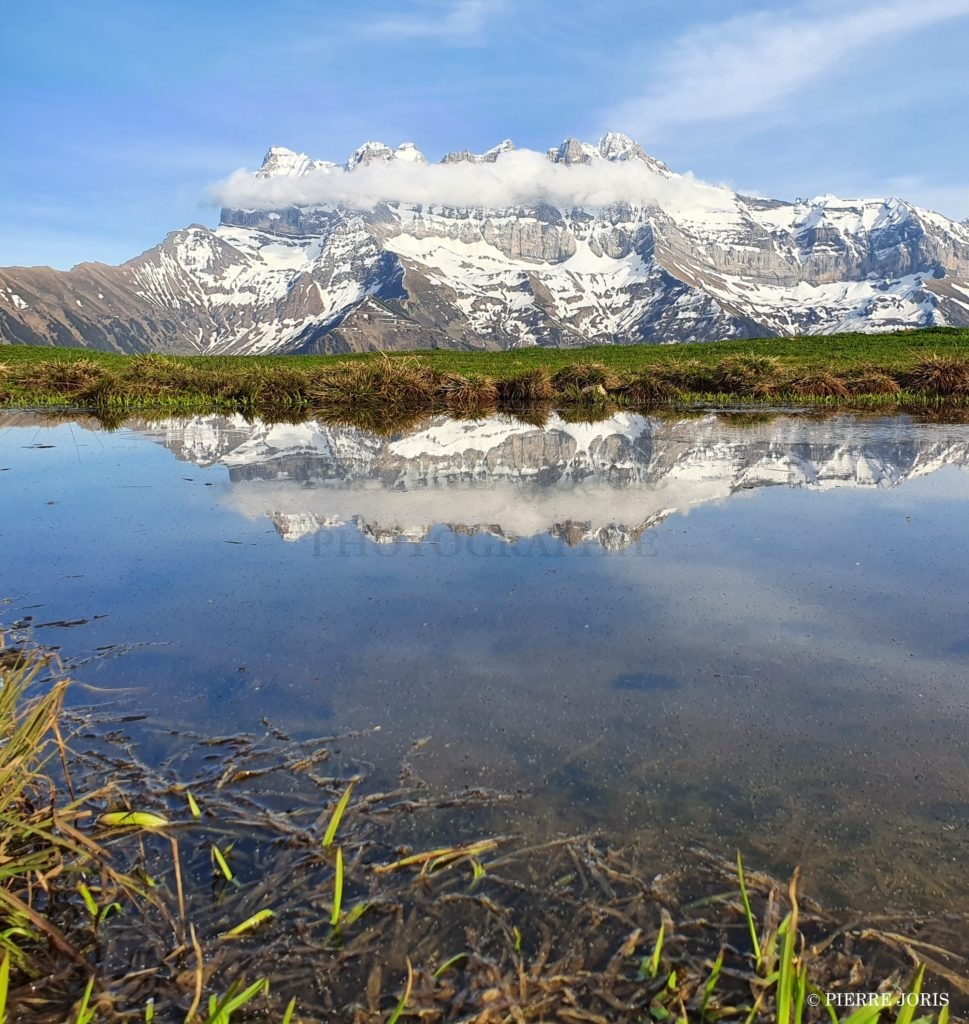Dents du Midi depuis d’autres gouilles (2)