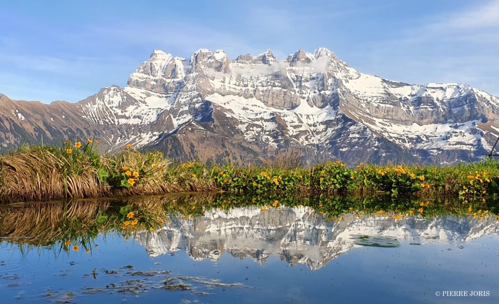 Dents du Midi depuis d’autres gouilles (3)