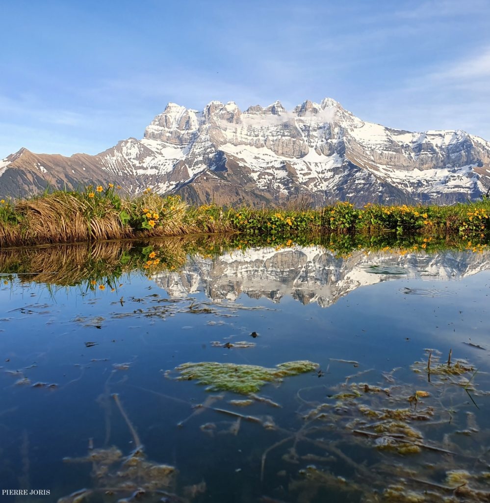 Dents du Midi depuis d’autres gouilles (6)