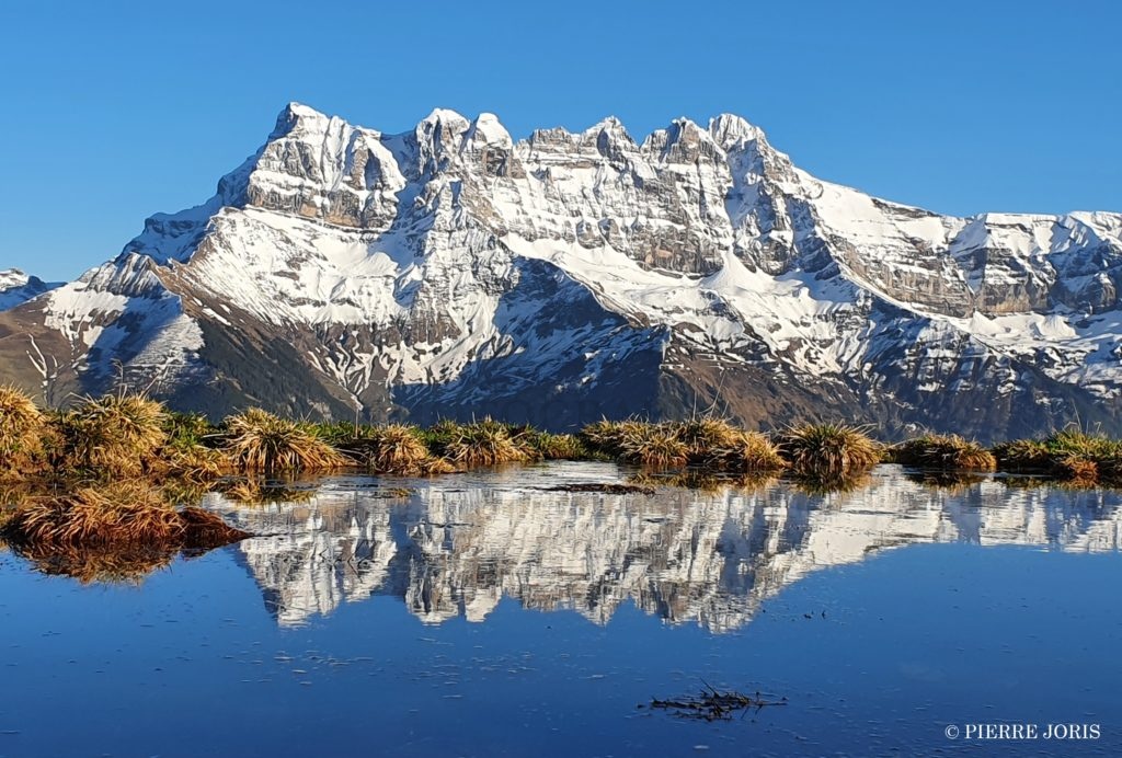 Dents du Midi depuis la gouille au printemps (1)