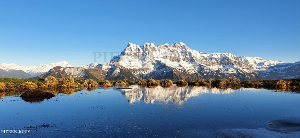Dents du Midi depuis la gouille au printemps (4)