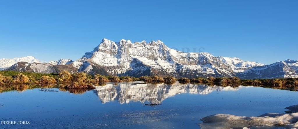 Dents du Midi depuis la gouille au printemps (5)