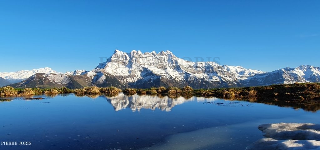 Dents du Midi depuis la gouille au printemps (6)