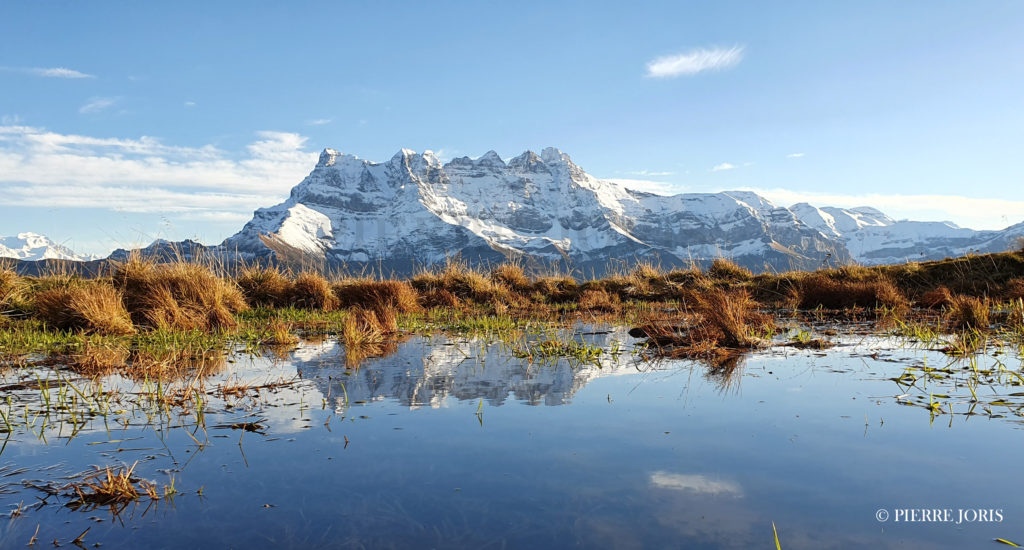 Dents du Midi depuis la gouille en automne (1)