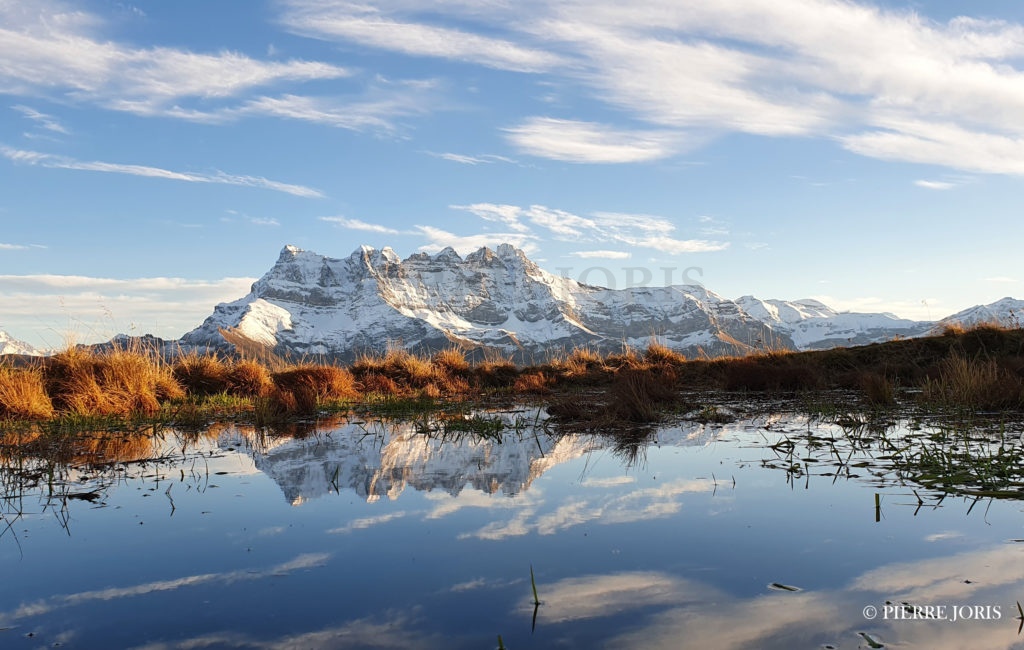Dents du Midi depuis la gouille en automne (10)