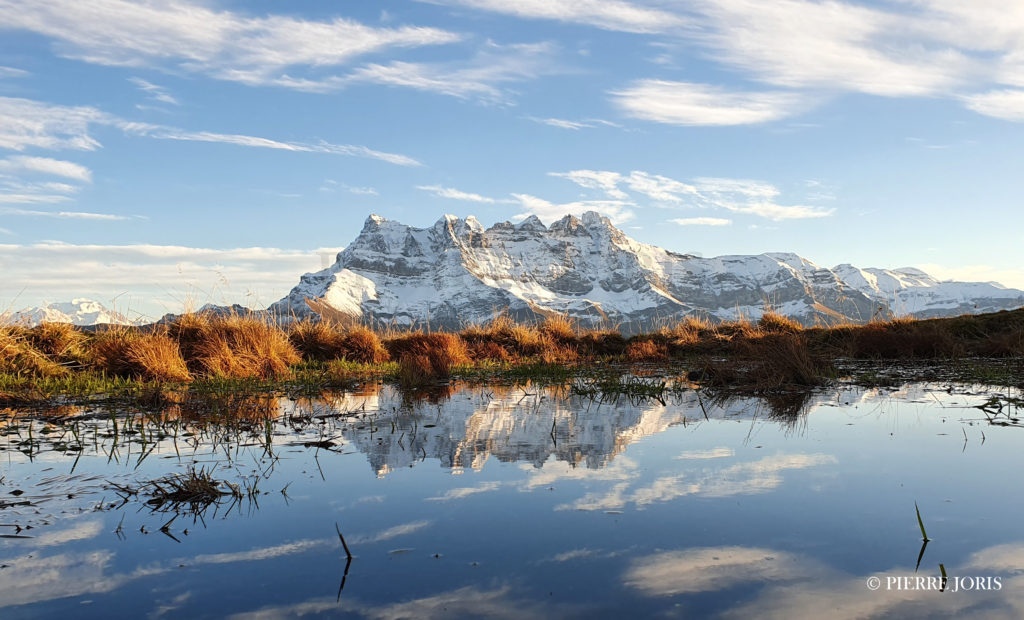 Dents du Midi depuis la gouille en automne (11)