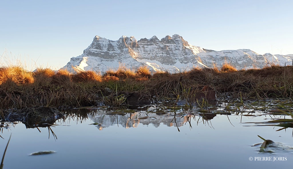 Dents du Midi depuis la gouille en automne (15)