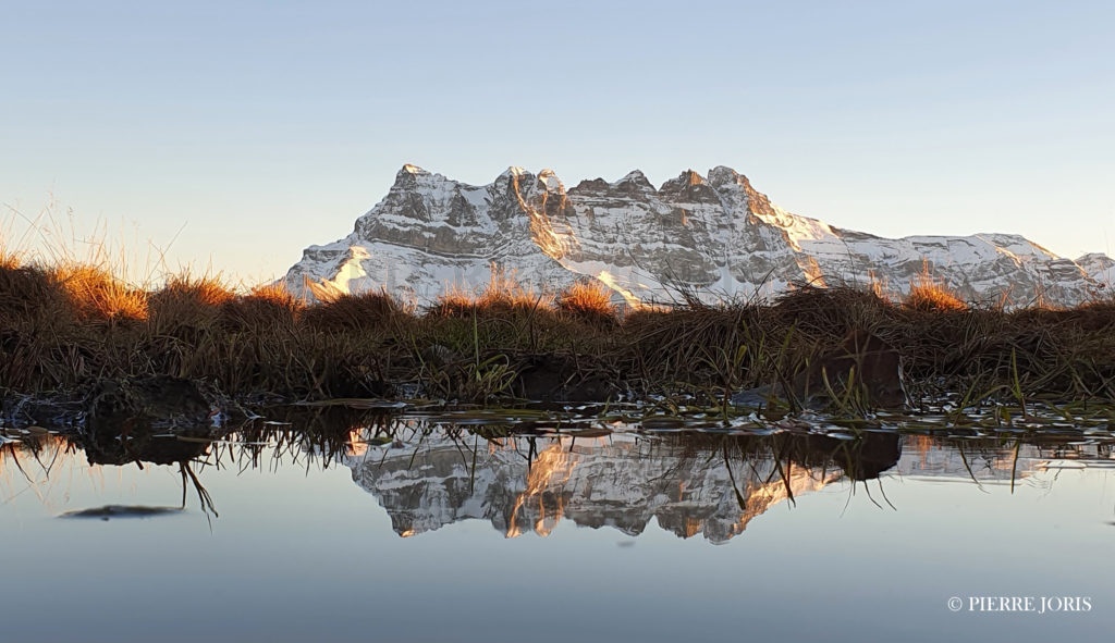 Dents du Midi depuis la gouille en automne (16)