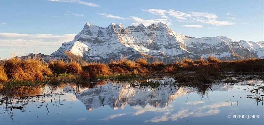 Dents du Midi depuis la gouille en automne (18)