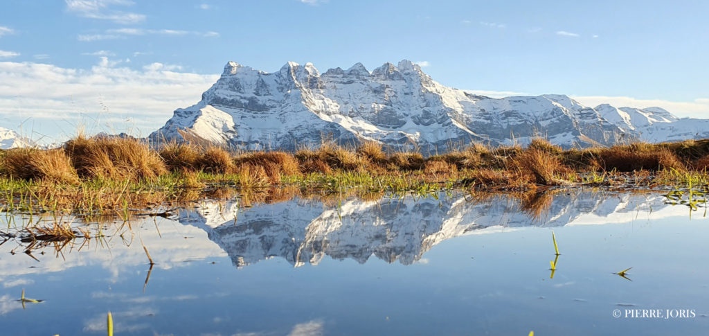 Dents du Midi depuis la gouille en automne (20)