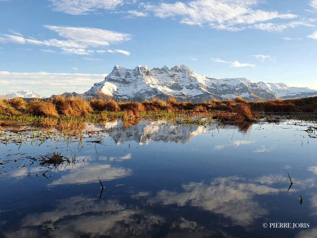 Dents du Midi depuis la gouille en automne (5)