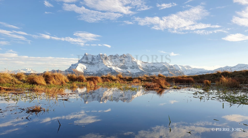 Dents du Midi depuis la gouille en automne (6)