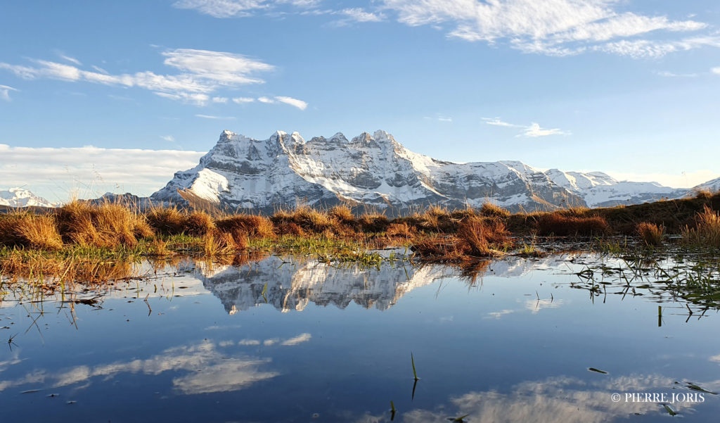 Dents du Midi depuis la gouille en automne (7)