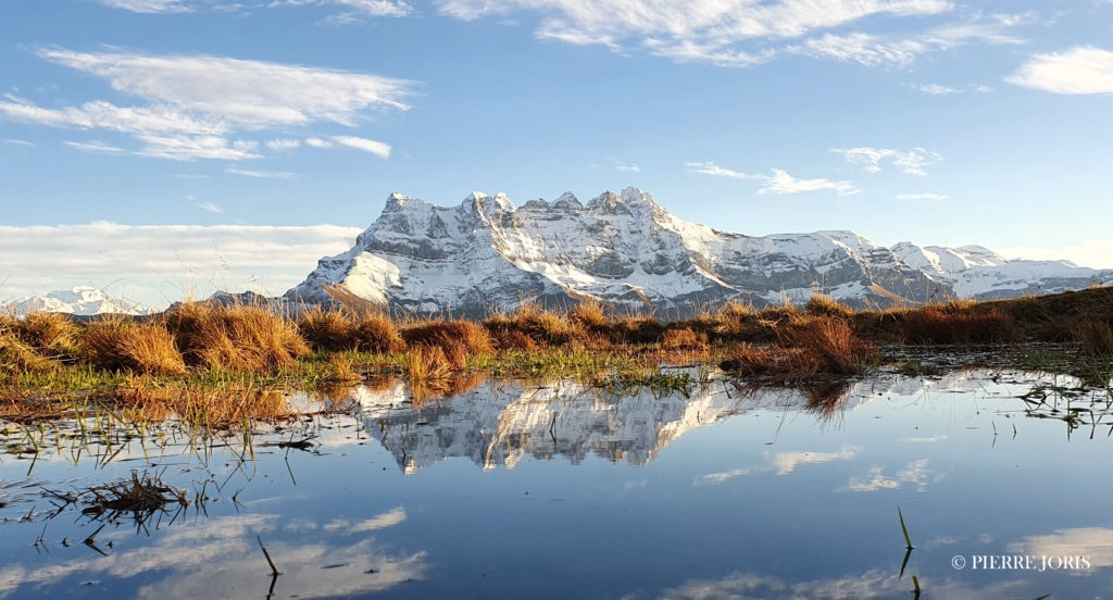 Dents du Midi depuis la gouille en automne (8)