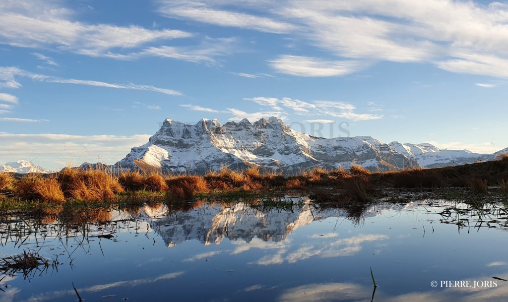 Dents du Midi depuis la gouille en automne (9)