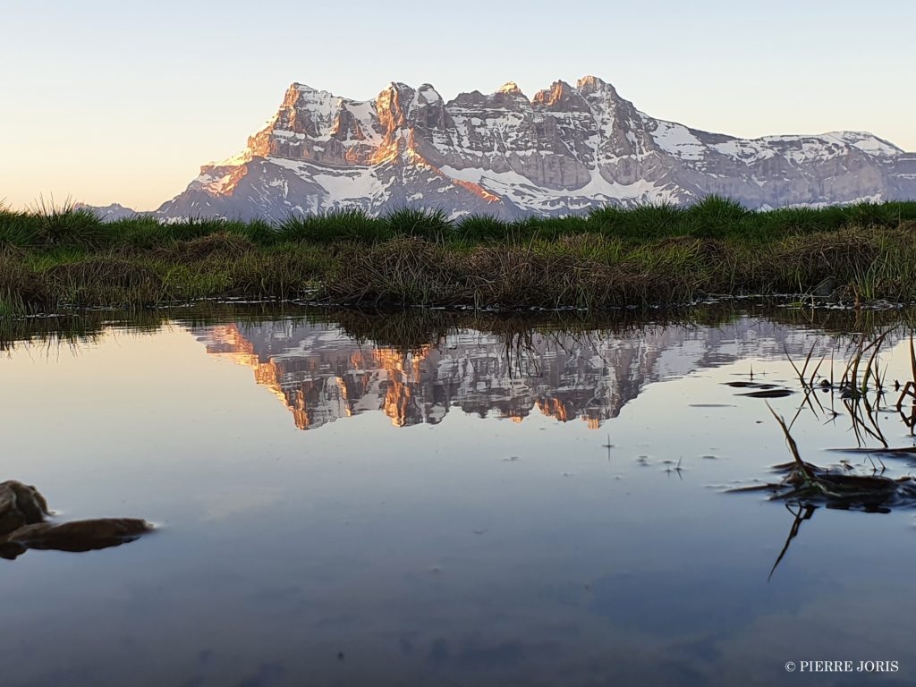 Dents du Midi depuis la gouille en été (1)