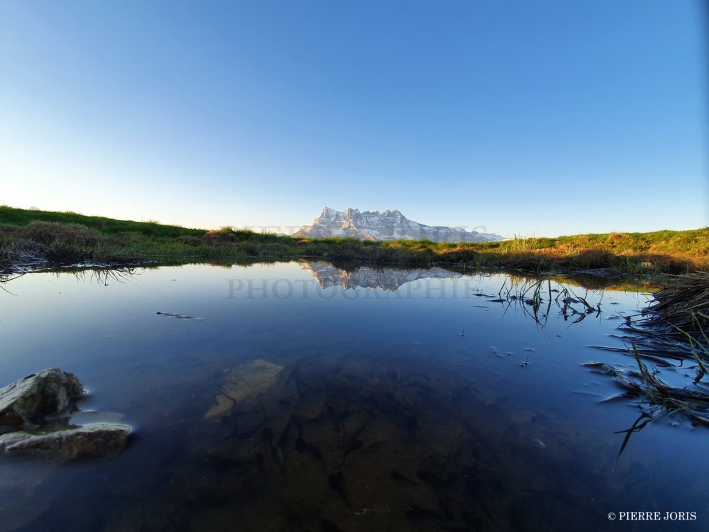 Dents du Midi depuis la gouille en été (2)
