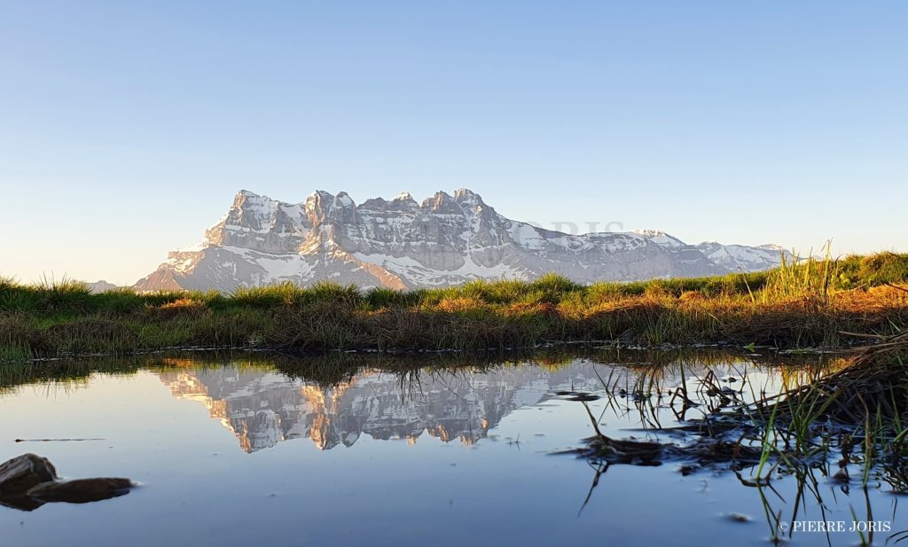Dents du Midi depuis la gouille en été (3)
