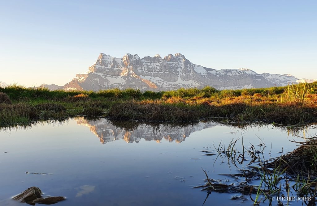 Dents du Midi depuis la gouille en été (4)