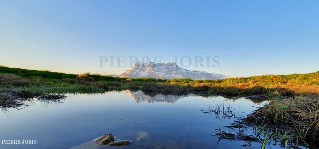Dents du Midi depuis la gouille en été (5)