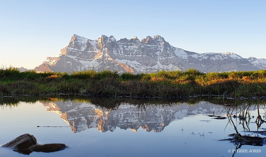 Dents du Midi depuis la gouille en été (6)