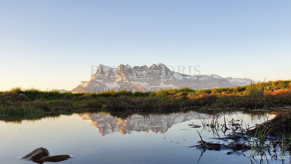 Dents du Midi depuis la gouille en été (7)