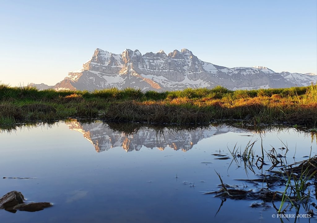 Dents du Midi depuis la gouille en été (8)