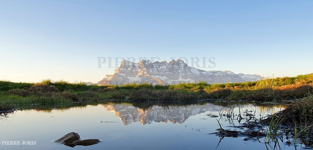 Dents du Midi depuis la gouille en été (9)