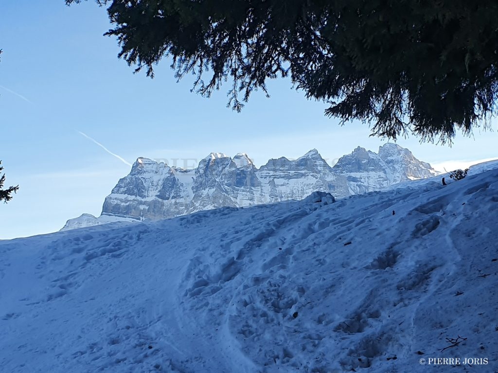 Dents du Midi depuis partout (21)