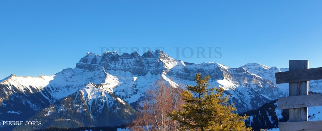 Dents du Midi depuis partout (23)