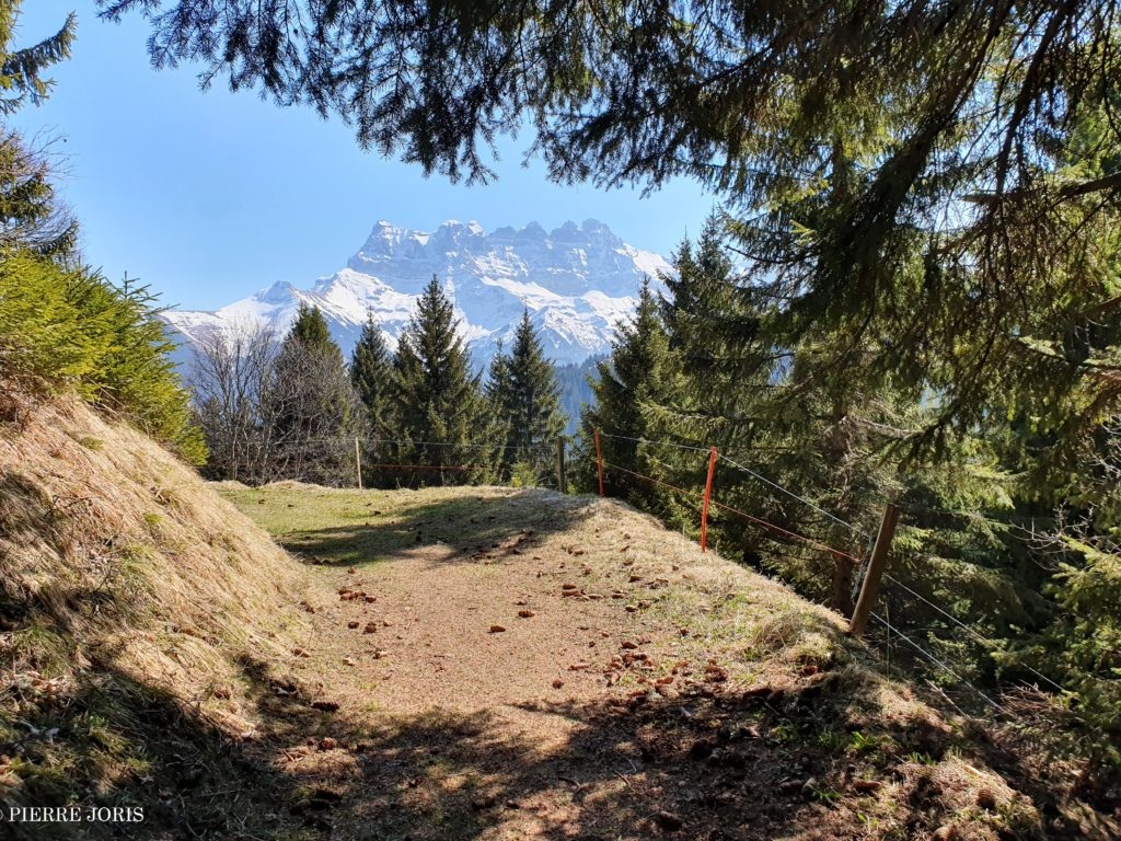Dents du Midi depuis partout (24)