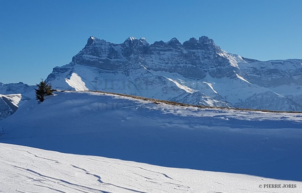 Dents du Midi depuis partout (39)