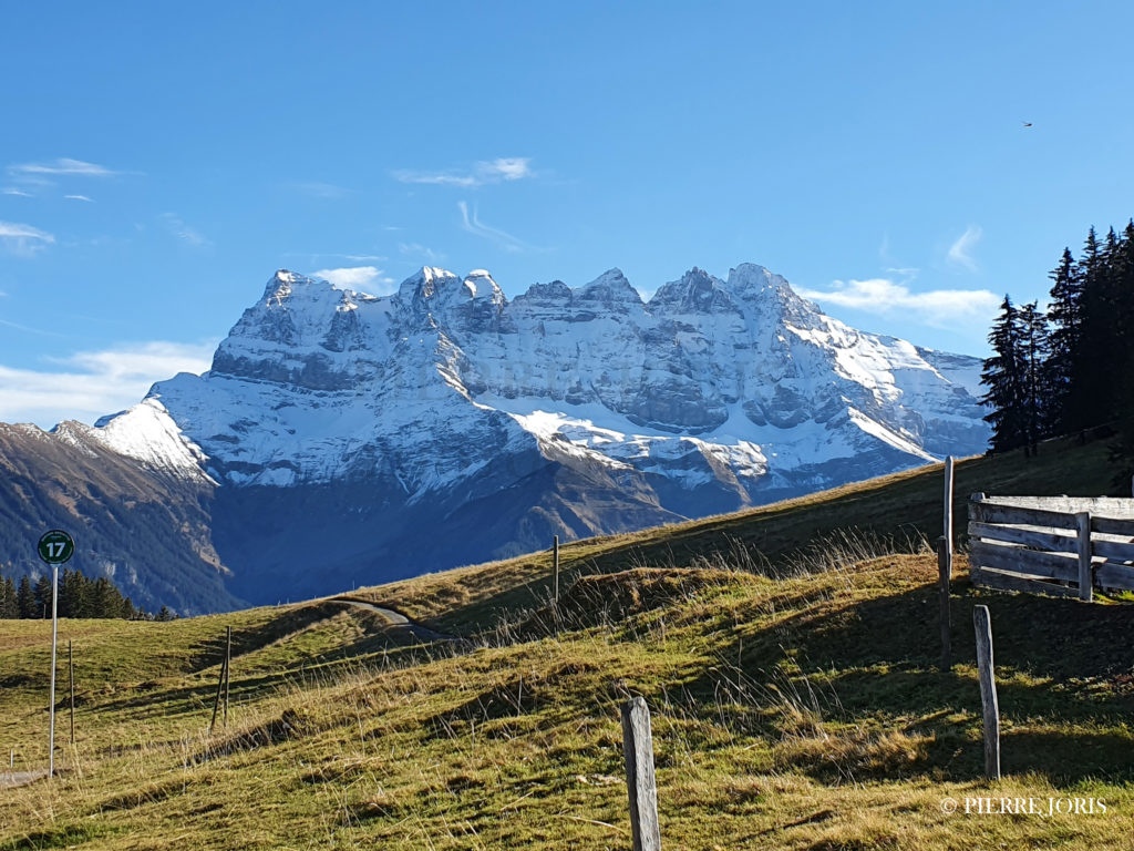 Dents du Midi depuis partout (63)