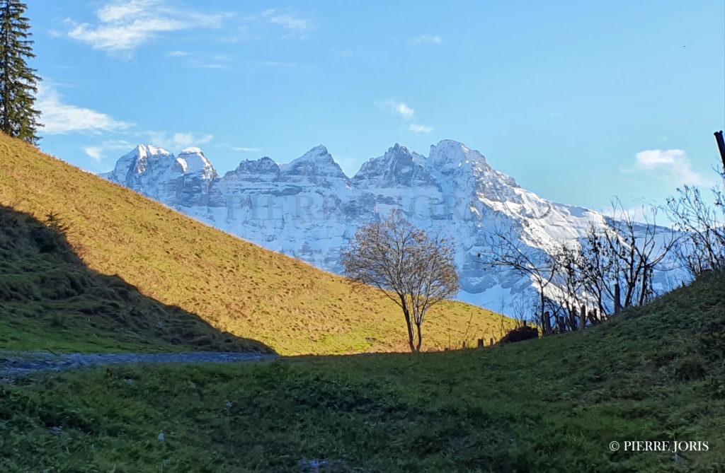 Dents du Midi depuis partout (66)