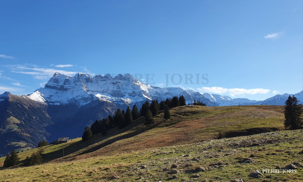 Dents du Midi depuis partout (67)