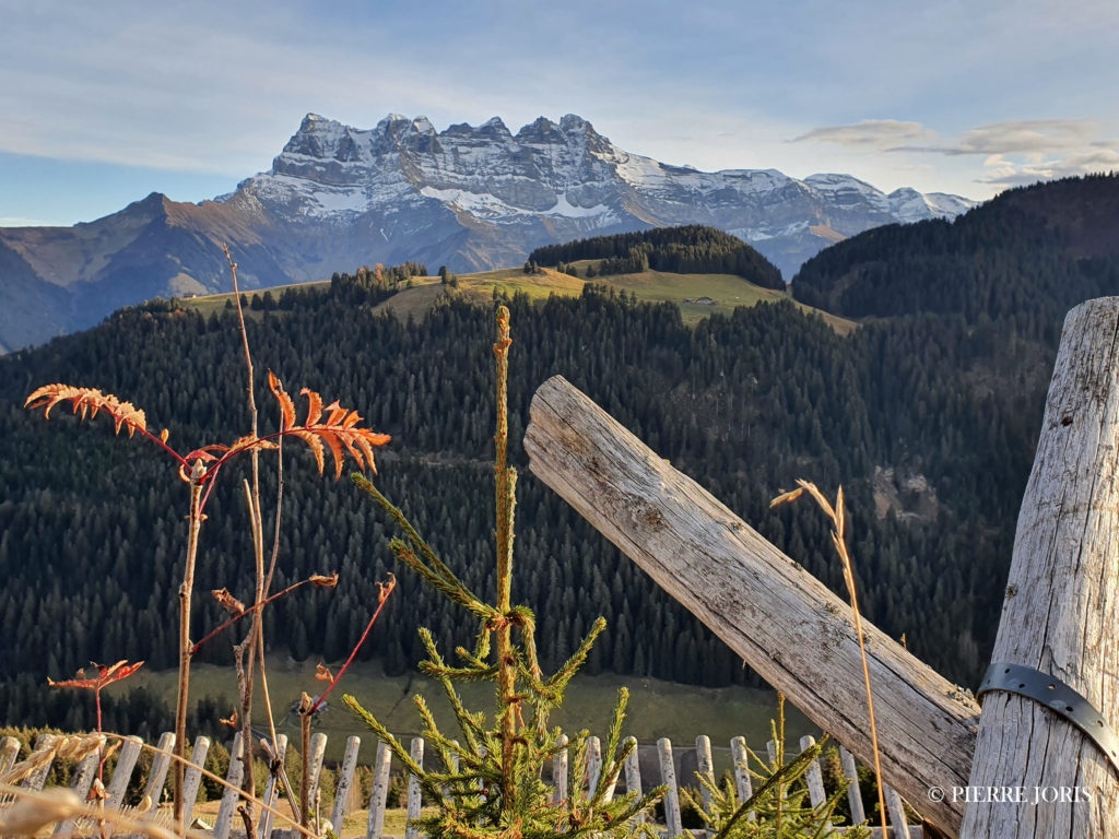 Dents du Midi depuis partout (77)