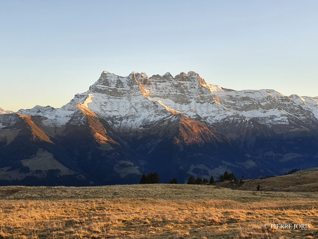 Dents du Midi depuis partout (81)