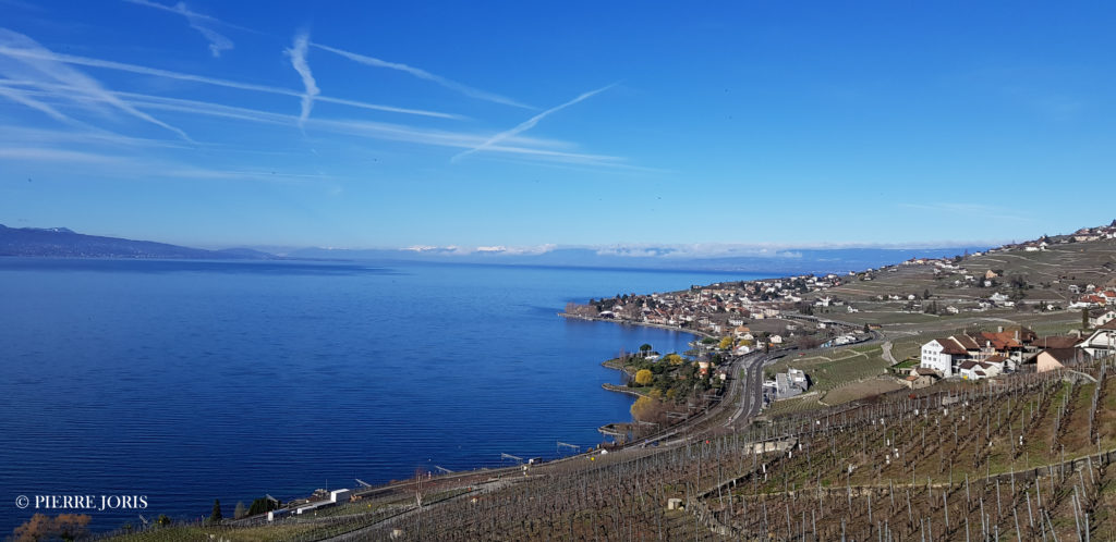 Lavaux
