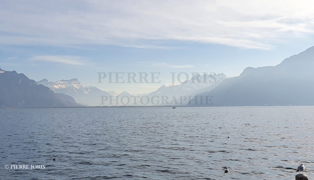 Le Chablais depuis le lac (2)