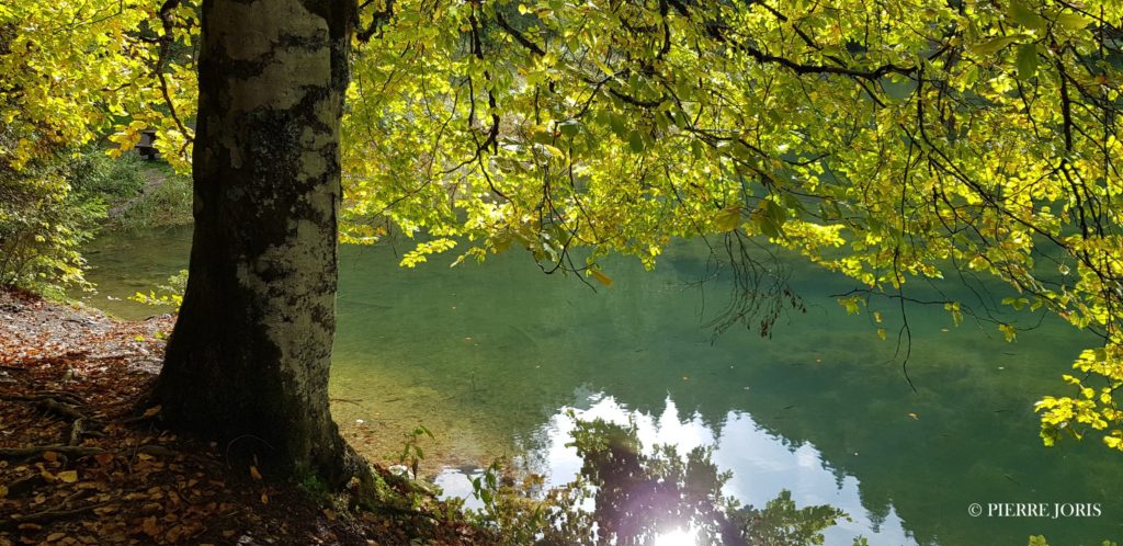 Portes du Soleil (4)