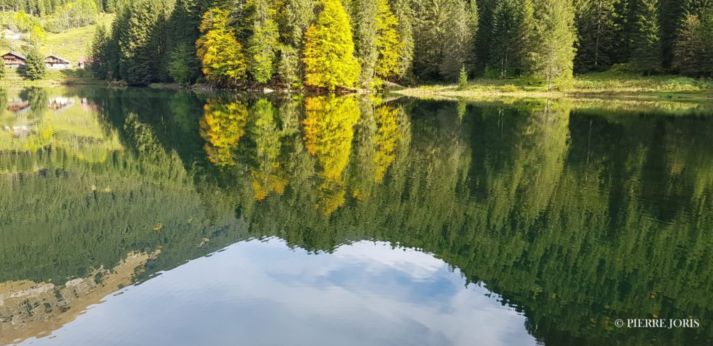 Portes du Soleil (5)