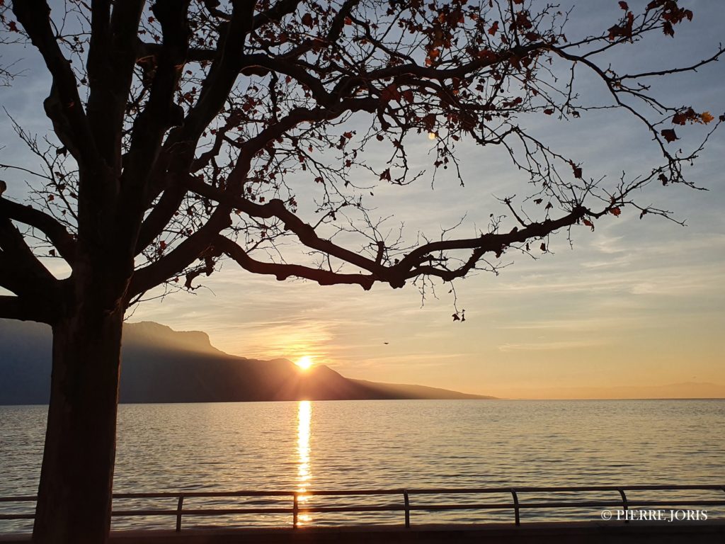 Vevey (1)